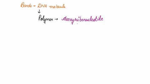 what-type-of-bond-holds-together-the-backbone-of-dna-select-one-or-more-peptide-bond-b-covalent-bond-hydrogen-bond-d-condensation-bond-phosphodiester-bond-20143