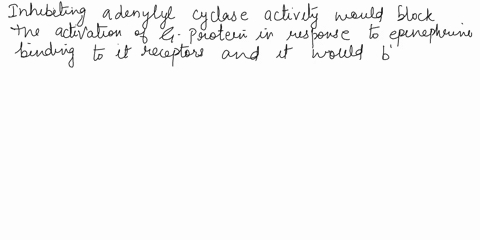 1-an-inhibitor-of-adenylyl-cyclase-activity-would-have-which-of-the-following-effects-choose-all-that-apply-a-block-the-response-of-epinephrine-in-skeletal-muscle-cells-b-decrease-the-amount-04368