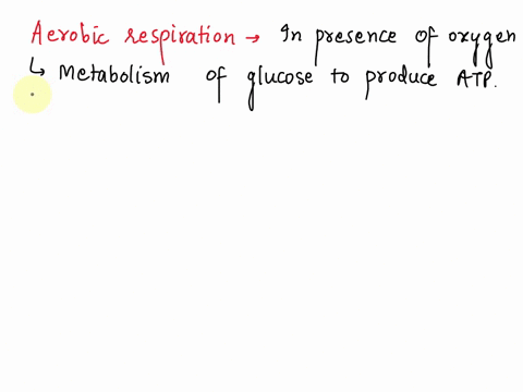 when-compared-with-aerobic-respiration-fermentation-a-produces-more-atp-without-using-oxygen-b-produces-more-atp-while-using-oxygen-c-produces-less-atp-without-using-oxygen-d-produces-less-a-79453
