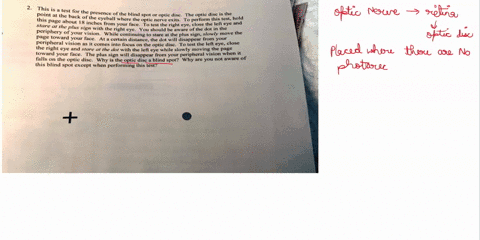 this-test-for-the-point-at-the-presence-of-the-blind-spot-hack-optic-disc-the-oplic-disc-this-of-the-eyeball-where-the-optic-netve-exits-to-perform-this-test-hold-page-about-8-inches-slare-f-94511