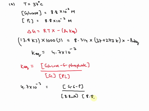 2-the-phosphorylation-of-glucose-to-glucose-6-phosphate-is-the-initial-step-of-glycolysis-and-the-reaction-is-shown-as-glucose-pi-v-glucose-6-phosphate-hzo-ag-138-kj-mol-calculate-the-equili-39709