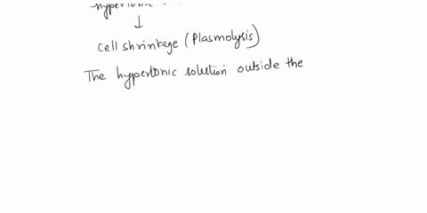 what-happens-when-onion-peel-cells-are-placed-in-a-hypertonic-solution-53345
