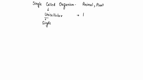 what-is-the-single-celled-organism-that-is-animal-and-plant-like-called-_____________________-18006