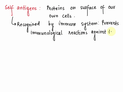 self-antigens-usually-generate-an-immune-response-in-our-own-bodies-truefalse-69036