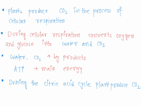 which-of-the-following-metabolic-processes-within-a-plant-cell-produce-carbon-dioxide-select-all-correct-answers-a-the-calvin-cycle-b-glycolysis-c-the-citric-acid-cycle-d-generation-of-high-00972