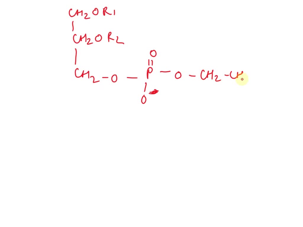 SOLVED Draw the structure of a lecithin containing oleic acid and