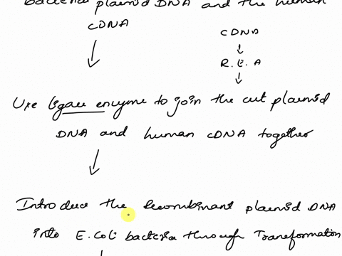 make-a-diagram-to-explain-how-a-human-gene-can-be-cloned-into-a-bacterial-plasmid-you-should-represent-the-events-that-need-to-occur-in-order-to-clone-the-insulin-gene-into-a-bacterial-plasm-39635