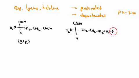 the-salt-potassium-sulfate-dissolves-in-water-according-to-the-reaction-k2so4s-2kaq-so42-aq-a-calculate-the-standard-enthalpy-change-h-for-this-reaction-using-the-following-data-k2so4s-14378-25173