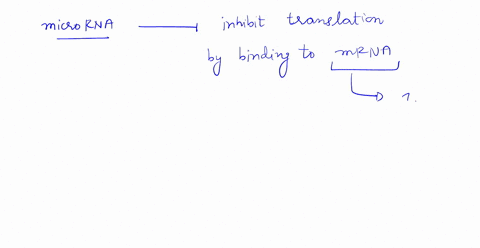 1which-of-the-following-inhibits-translation-a-messenger-rna-b-micro-rna-c-ribosomal-rna-d-transfer-rna-2a-particular-triplet-of-bases-in-the-template-sequence-of-dna-is-3-ttt-5-the-anticodo-39074