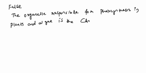 question-9-10-points-the-organelle-in-photosynthesis-is-the-mitochondrion-true-false-question-10-10-points-the-organelle-in-photosynthesis-is-the-chloroplast-true-false-06726
