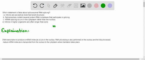 which-statement-is-false-about-spliceosomal-rna-splicing-select-an-answer-and-submit-for-keyboard-navigation-use-the-updown-arrow-keys-to-select-an-answer-a-introns-are-excised-as-branched-l-33658