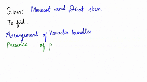 complete-the-table-below-to-differentiate-monocot-from-dicot-stem-criteria-monocot-dicot-arrangement-of-vascular-bundles-presence-of-pith-diameter-of-the-stem-secondary-growth-presentabsent-00314