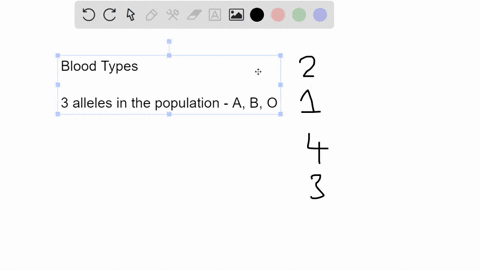 ipts-thereare-3-alleles-that-lead-to-the-abo-blood-types-howmany-does-an-individual-inherit-total-alleles-from-their-parents-17575