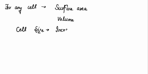 what-processes-occur-in-the-golgi-apparatus-17068