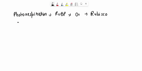 1-photorespiration-is-the-process-by-which-rubp-substrate-has-______-added-to-it-by-rubisco-instead-of-________-as-happens-during-photosynthesis-ozone-co2-co2-o2-o2-co2-o2-co-2-photorespirat-83834