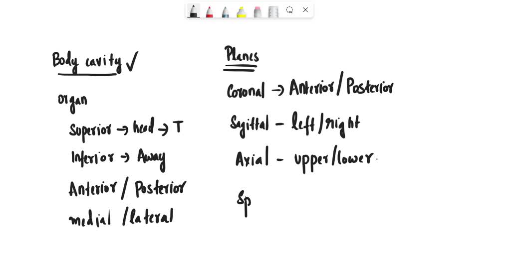 SOLVED Explain Why It Is Important To Know The Different Body Cavities