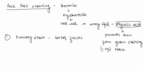 what-is-acid-fast-staining-and-why-do-we-use-gram-staining-more-02524