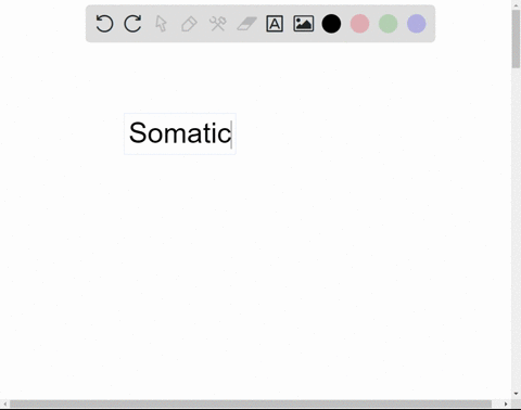 the-somatic-cells-of-dogs-have-78-chromosomes-how-many-chromosomes-will-be-present-in-a-secondary-spermatocyte-ie-after-meiosis-156-23-78-39-93023