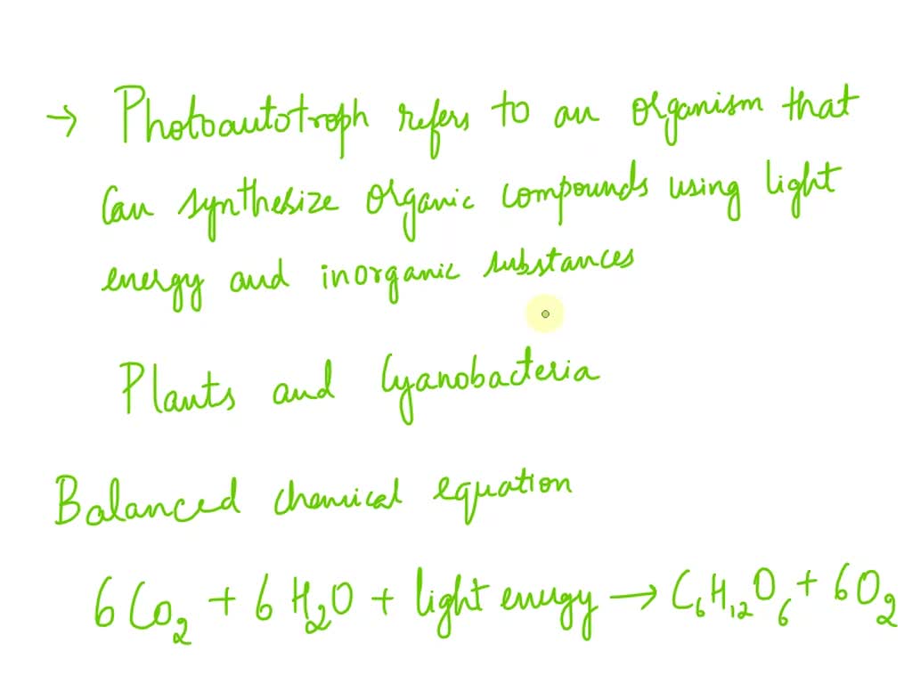 photoautotrophes