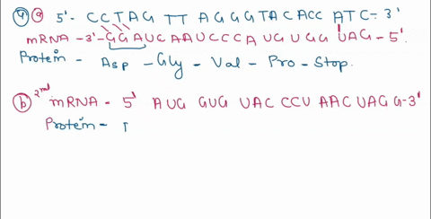 exercise-3-assess-the-effect-of-mutation-in-the-dna-on-the-amino-acid-aa-code-because-genome-sequencing-cosis-jrc-decreasing-it-is-becoming-more-common-find-entire-rene-sequences-in-the-dna-94579