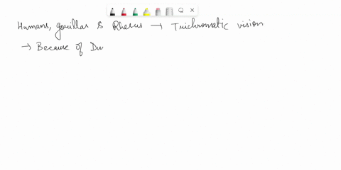 0-1-pt-hurnans-gorillas-an4-rzsus-monkeys-haie-trichromatic-ision-oxlmonto-spidct-moakeys-4d-cupuchin-monkeys-not-have-tnchromatia-tision-bxxdon-th-infonation-tbc-phylogenctic-trex-and-your-59354