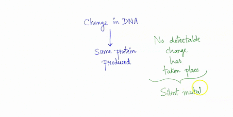which-type-of-mutation-produces-the-same-protein-despite-a-change-in-the-dna-a-nonsense-b-missense-c-silent-d-frameshift-00906