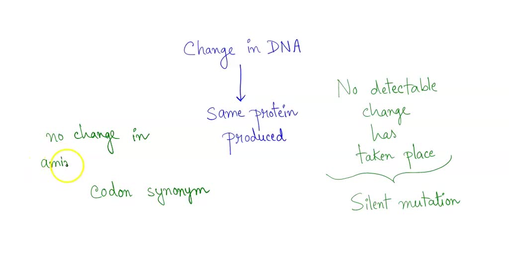 SOLVED Which type of mutation produces the same protein despite a