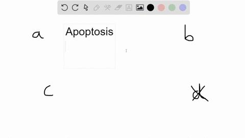 which-of-the-following-statements-is-true-a-apoptosis-is-mediated-by-special-intracellular-proteases-called-peroxidases-b-apoptosis-can-be-promoted-by-the-release-of-cytochrome-c-into-the-cy-83155