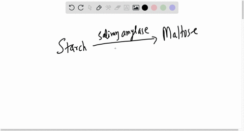 salivary-amylase-is-the-main-enzyme-in-the-mouth-name-the-substrate-and-the-end-product-of-salivary-amylase-activity-what-specific-structural-properties-must-the-substrate-have-to-be-recogni-75825