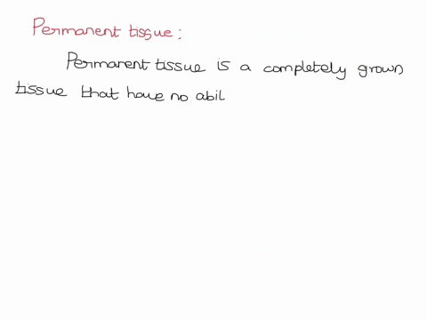 what-are-permanent-tissues-describe-the-different-types-of-simple-permanent-tissues-93238