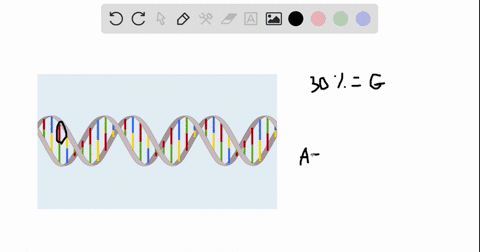 if-30-of-the-bases-in-a-particular-dna-molecule-are-guanineg-what-percentage-of-the-bases-would-be-thyminet-explain-your-reasoning-94104