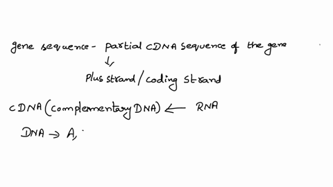 palpation-of-4-can-a-defective-valve-be-detected-by-electrocardiography-auscultation-the-radial-artery-or-all-of-these-techniques-explain-your-answer-09138