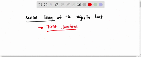 which-of-the-following-contributes-to-the-sealed-lining-of-the-digestive-tract-to-keep-food-inside-i-39901
