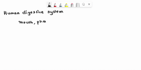 name-the-various-organs-which-forms-the-human-digestive-system-49467