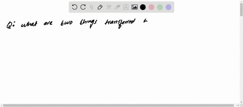 what-are-two-things-transferred-between-the-living-things-and-non-living-things-in-an-ecosystem-07246