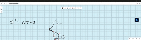 la-draw-the-dinucleotide-5-gt-3-use-the-letters-g-and-t-to-represent-the-bases-and-use-the-letter-p-with-a-circle-around-it-to-indicate-the-phosphate-group_-draw-out-the-structure-of-the-sug-89646