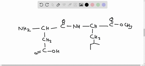 3-identify-the-functional-groups-they-are-circled-h-hn-c-n-c-ch-h-ch-0-ch-0-oh-12652