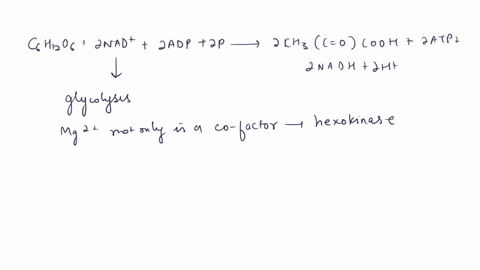 fermentation-also-known-as-anaerobic-respiration-objectives-demonstrate-carbon-dioxide-production-during-anaerobic-respiration-understand-the-effects-of-inhibitors-intermediate-compounds-and-33066