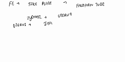 within-which-structure-in-the-human-body-does-specialization-of-parts-of-the-developing-baby-take-place-a-ovary-b-uterus-d-pancreas-c-testis-79228