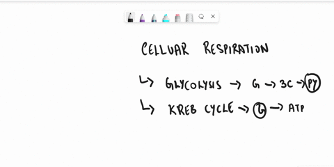pick-a-topic-and-write-a-200-word-paragraph-answering-it-1-define-and-describe-cellular-respiration-what-are-the-3-main-steps-in-the-process-2-describe-the-purpose-of-nadh-in-cellular-respir-96393