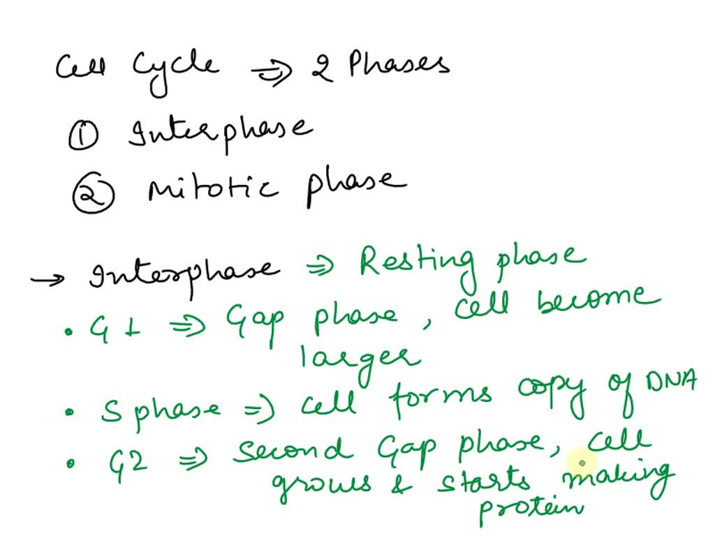 SOLVED: the correct sequence for the phrases of the cell cycle starting ...