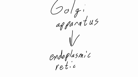25-a-vesicle-is-moved-along-a-microtubule-from-the-golgi-apparatus-to-a-region-of-the-endoplasmic-reticulum-at-the-periphery-of-the-cell-which-of-the-following-motor-proteins-is-most-likely-used-a-myo