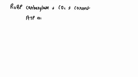 the-atp-and-nadph-from-the-light-reactions-are-used-to-a-split-water-b-cause-rubp-carboxylase-to-fix-72317