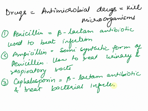 antimicrobial-drugs-drugs-to-know-penicillin-ampicillin-cephalosporin-vancomycin-erythromycin-streptomycin-tetracycline-daptomycin-sulfanilamide-rifamycin-quinolone-65965