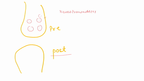 need-help-with-these-presynaptic-and-post-synapatic-mechanisms-really-need-help-with-these-1-list-one-presynaptic-mechanism-that-can-alter-the-amount-of-neurotransmitter-released-in-response-69948