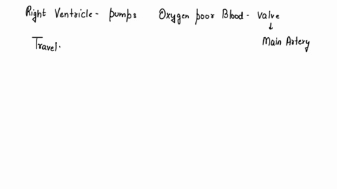 which-of-these-are-considered-an-oxidizing-mutagenic-agent-a-xrays-b-benzopyrene-c-gamma-rays-15561