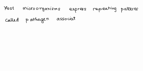 13_-most-microorganisms-express-repeating-patterns-of-molecular-structures-termed-a-patterned-histocompatibility-series-phs-b-cd4-c-pattern-recognition-receptors-prrs-d-nannose-effected-link-65077