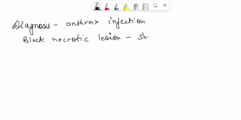 a-white-male-38-years-old-was-admitted-to-the-emergency-room-with-a-black-necroticbut-painless-lesion-at-the-base-of-the-index-finger-of-his-right-hand-patient-worksoutdoors-as-a-sheep-herde-80494