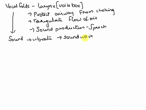 what-are-the-mechanism-of-vocal-fold-behaviour-during-the-process-of-doing-a-pitch-glide-vs-doing-a-loudness-glide-with-a-steady-pitch-41758