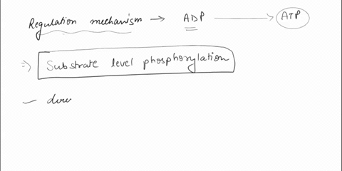 energy-required-by-the-cell-is-generated-in-the-form-of-atp-atp-is-hydrolyzed-to-power-many-of-the-cellular-processes-increasing-the-pool-of-adp-as-the-relative-amount-of-adp-molecules-incre-19214